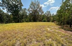 0 Ford Road, Many, LA 71449