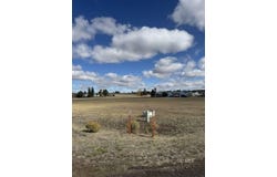 Black Pine, Alturas, CA 96101
