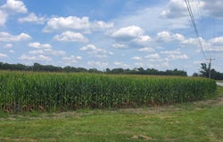 1200 W In-10, San Pierre, IN 46374