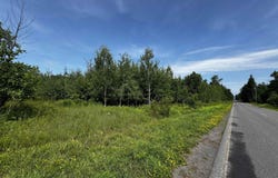 TBD Bear Town, Baraga, MI 49908