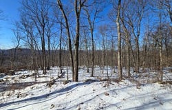 79 Coventry Way, Ringwood Boro, NJ 07456