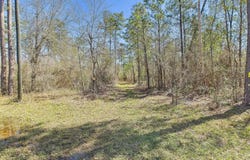 Vacant SW Promenade Avenue, Greenville, FL 32331
