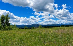87 & 95 BISON DRIVE, Victor, ID 83455