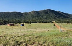 310 Sleepy Hollow Trail, Texas Creek, CO 81223