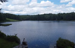 104 McClure Drive, Sanford, NY 13754