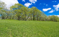 Lt14 Trinity Ln, Lake Geneva, WI 53147