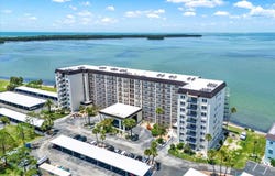 9 HAIG PLACE, DUNEDIN, FL 34698