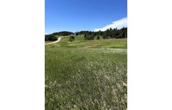 11 Tower Ridge Drive, Devils Tower, WY 82714