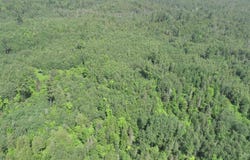 80 Acres Off M69, Crystal Falls, MI 49920