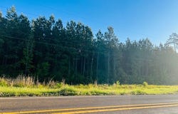 3122 State Hwy 184, Hemphill, TX 75948