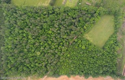 Calhoun Lane, Forest, MS 39074
