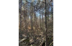 00 N. Long Ave, Taylor, AR 71861