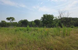 Lot 80 & Bl # 16 ShoreSide Drive, Corsicana, TX 75109