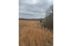 County Road 4322, Avery, TX 75554