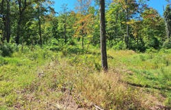 TIGER VALLEY Road, HYNDMAN, PA 15545