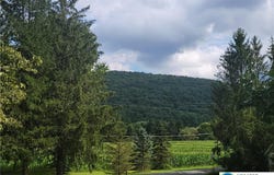 56 E Adamsdale, PA 17972