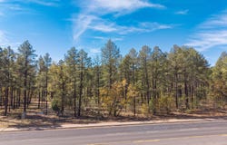 21256061A W White Mountain Boulevard, Lakeside, AZ 85929