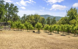 2371 McNab Ranch Road, Hopland, CA 95482