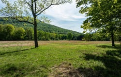 11 Louie Way, Woodstock, NY 12498