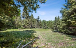 Smokey Mountain Drive, Anaconda, MT 59711