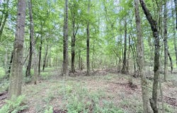 Summit Drive, Summit, MS 39666