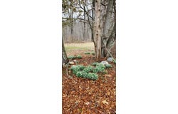 Bethany, CT 06524