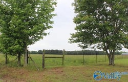 4000 County Road 400, Grove Oak, AL 35975