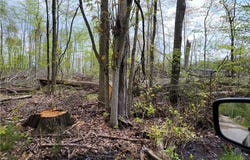 3705 Alexander Road, Randolph, OH 44201