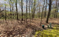 12998 Bowen Lake Drive, Gowen, MI 49326