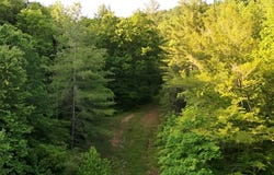 0 Calico Fork Rd, Louisa, KY 41230