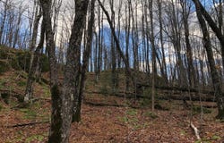 ON SKYE DR, Upson, WI 54565