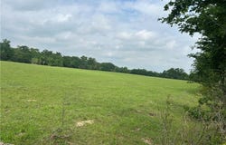 0000 Puckett Ranch Rd County Road, Franklin, TX 77856