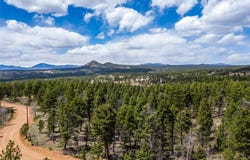 451 Chipeta Creek Trail, Florissant, CO 80816