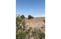 McLean, TX 79057