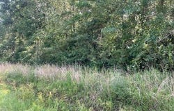 Lot 19 Trap St, Abita Springs, LA 70420
