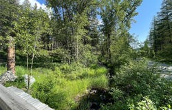 2734, 2722 Browns Meadow Road, Kila, MT 59920