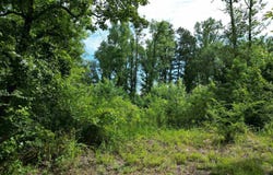 Dover, AR 72837-0000
