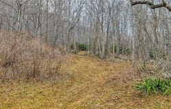 TBD-2 Three Top Road, Todd, NC 28684