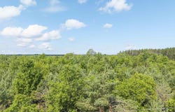 C TUCKER ROAD, ELMIRA, MI 49730