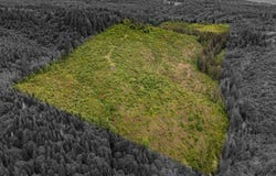25015 NW MORELAND RD, North Plains, OR 97133