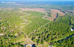 24 Nelson Road, Poplarville, MS 39470