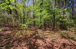0 Willie Duncan Road, Siler City, NC 27344