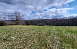 Lot 3 Goddards Road, New Lisbon, NY 13810