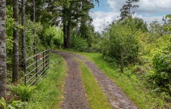 25015 NW MORELAND RD, North Plains, OR 97133
