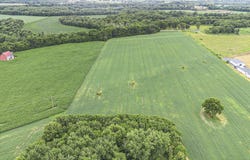 7005 US 31, Berrien Springs, MI 49103