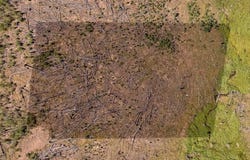 Noel Pl lot: 1909, Fort Garland, CO 81133
