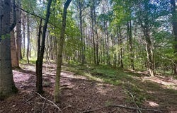 6 Patriot View, Dahlonega, GA 30533