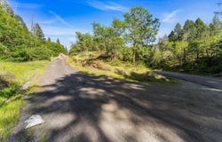 Reeves Creek Road, Selma, OR 97538