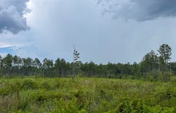 T-2 Highway 127, Jena, LA 71371