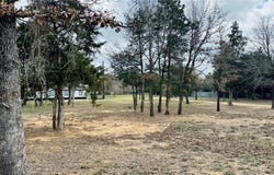 557 FM 2336, Bastrop, TX 78602